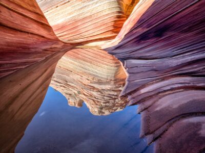 The Wave Reflected by Elaine Belvin