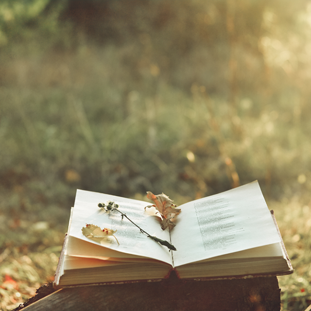 Art and Writing — Interaction that Feeds Both