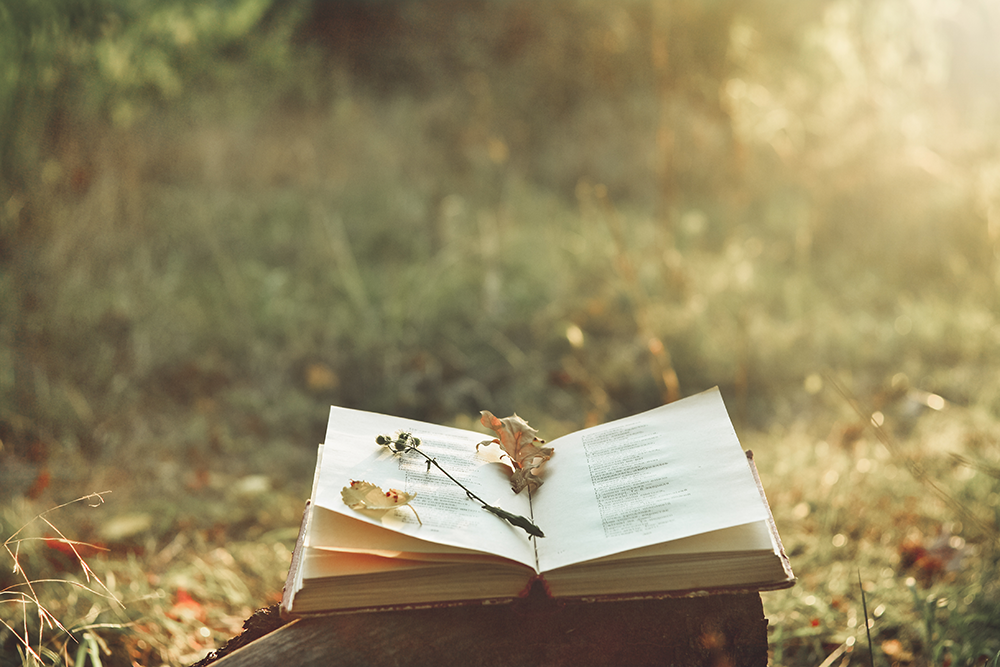 Art and Writing — Interaction that Feeds Both
