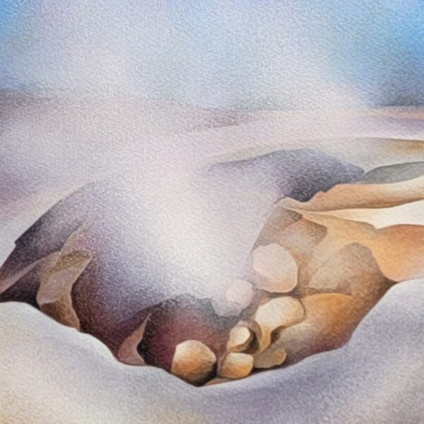 Mystery of Yellowstone III by Christie Palmer