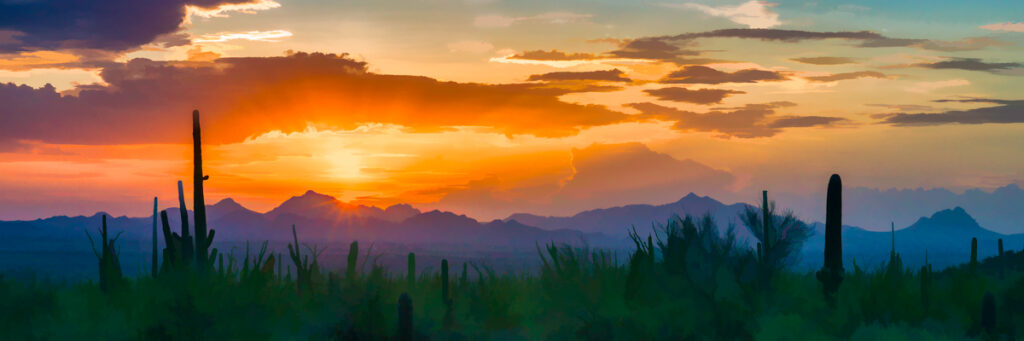 Painted Sunset from Saguaro National Park by A O Tucker