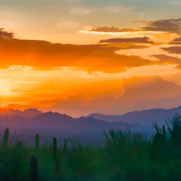 Painted Sunset from Saguaro National Park by A O Tucker