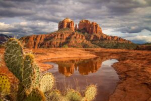 Cathedral Cactus and Clouds by Elaine Belvin