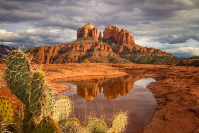 Cathedral Cactus and Clouds by Elaine Belvin