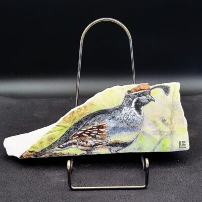 Gambel's Quail of Sedona by Leanne Lee