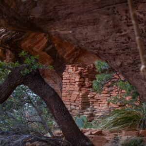 Secret Mountain Wilderness Ruins by Kelli Klymenko