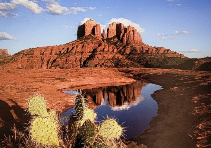 Cathedral Rock Reflections by Al Brown