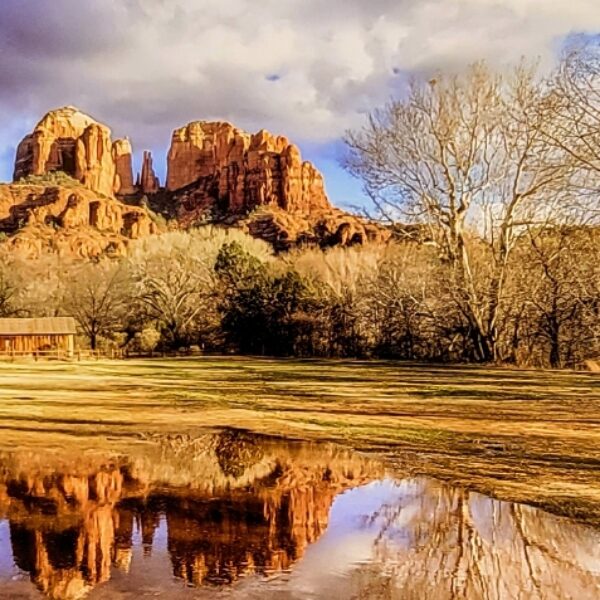 Crescent Moon Ranch by Elaine Belvin