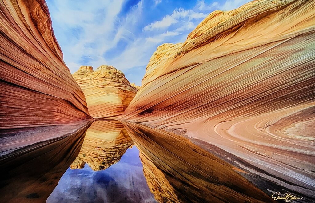 The Wave Vortex by Elaine Belvin