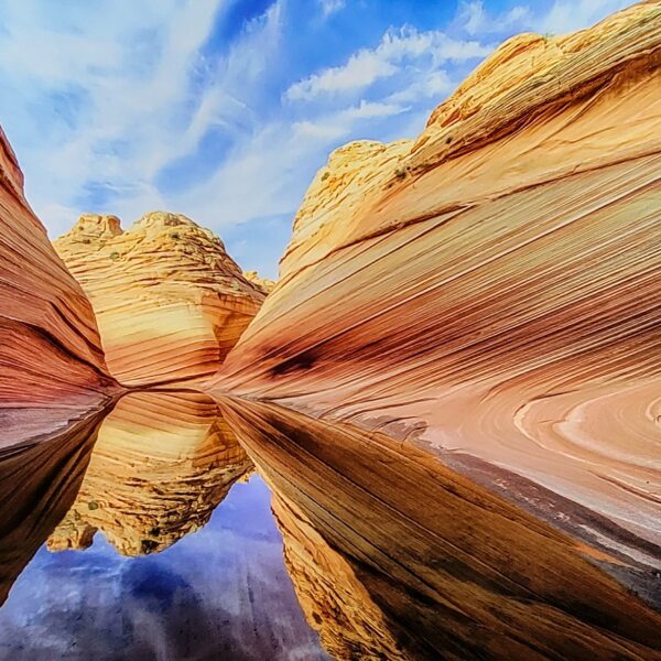 The Wave Vortex by Elaine Belvin