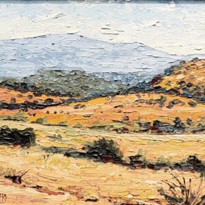 Mingus Mountain via Loy Butte Road by Ed Buonvecchio