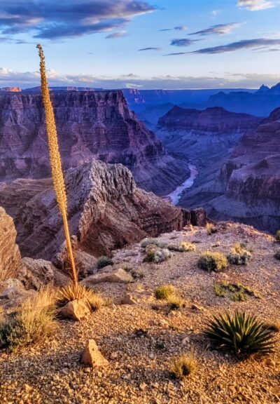 View of the Century by Bill Belvin