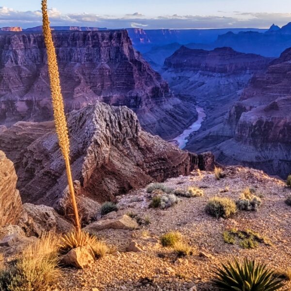 View of the Century by Bill Belvin