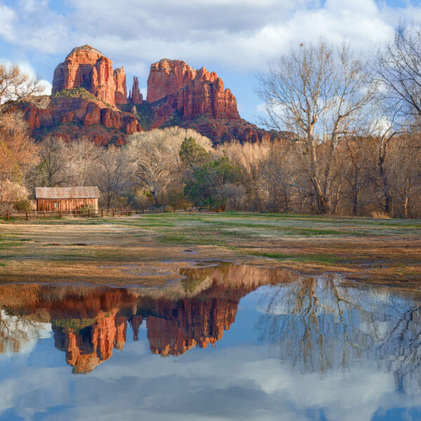 Cathedral Rock Reflection by Bill Belvin