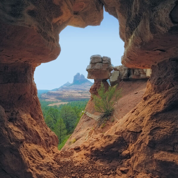 Merry Go Round Arch by Bill Belvin
