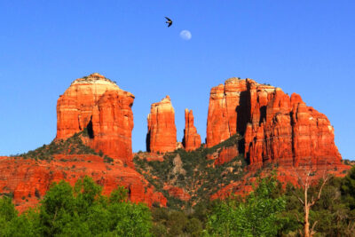 Moon and Bird over Cathedral Rock by Iris Yang