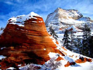 Orange and White Rocks in Zion by Iris Yang