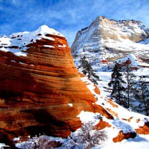 Orange and White Rocks in Zion by Iris Yang