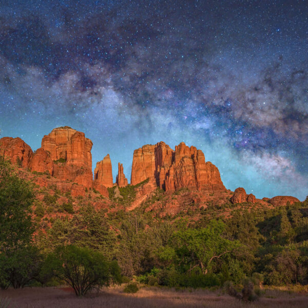 Reaching for the Stars by Bill Belvin