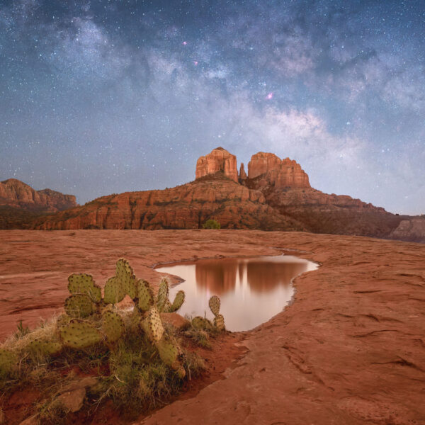 Reflecting on a Starry Night by Bill Belvin