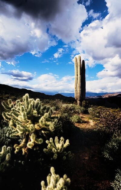 Bartlett Spring I by Ben Akers