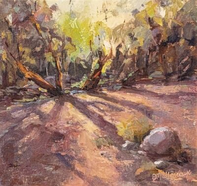 Light Trails by Barbara Mulleneaux