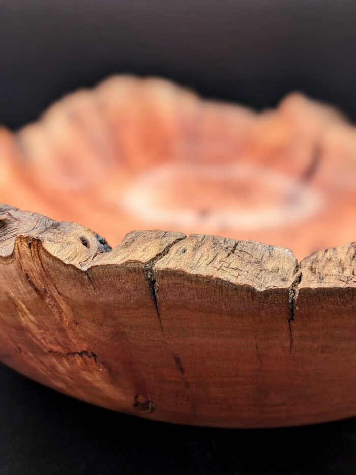 African Sumac Natural Edge Bowl by Barry Richardson - Image 3