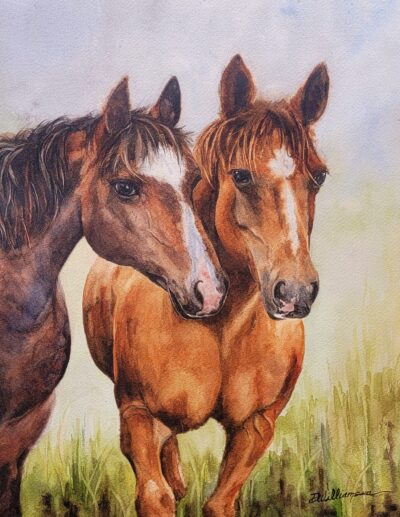 Friends in the Field by Debra Williamson