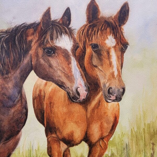 Friends in the Field by Debra Williamson