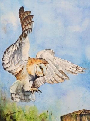 In for the Landing by Debra Williamson