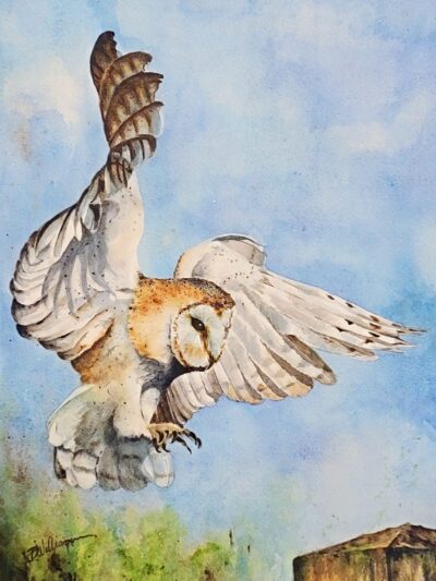 In for the Landing by Debra Williamson