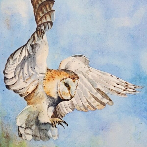 In for the Landing by Debra Williamson