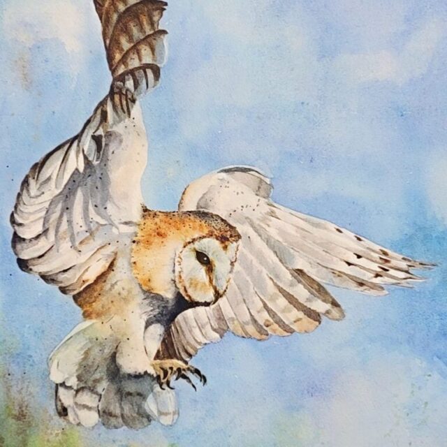 In for the Landing by Debra Williamson