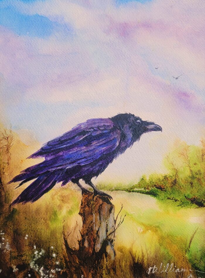 Raven's Field by Debra Williamson