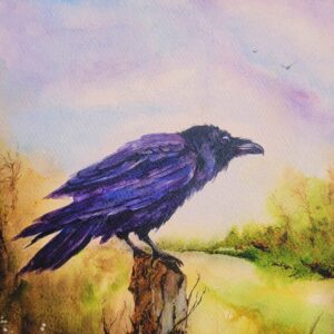 Raven’s Field by Debra Williamson