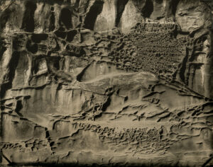 Poison Wall by Mark Edward Dawson