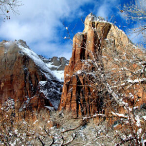 Three Patriarchs in Snow by Iris Yang