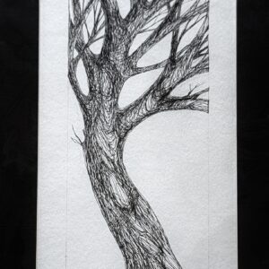 Contrapuntal by Casey Cheuvront