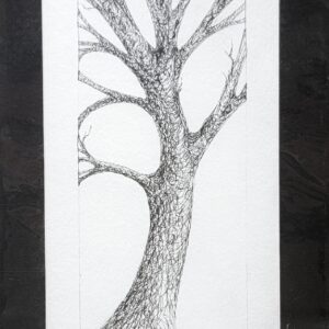 Dancer by Casey Cheuvront