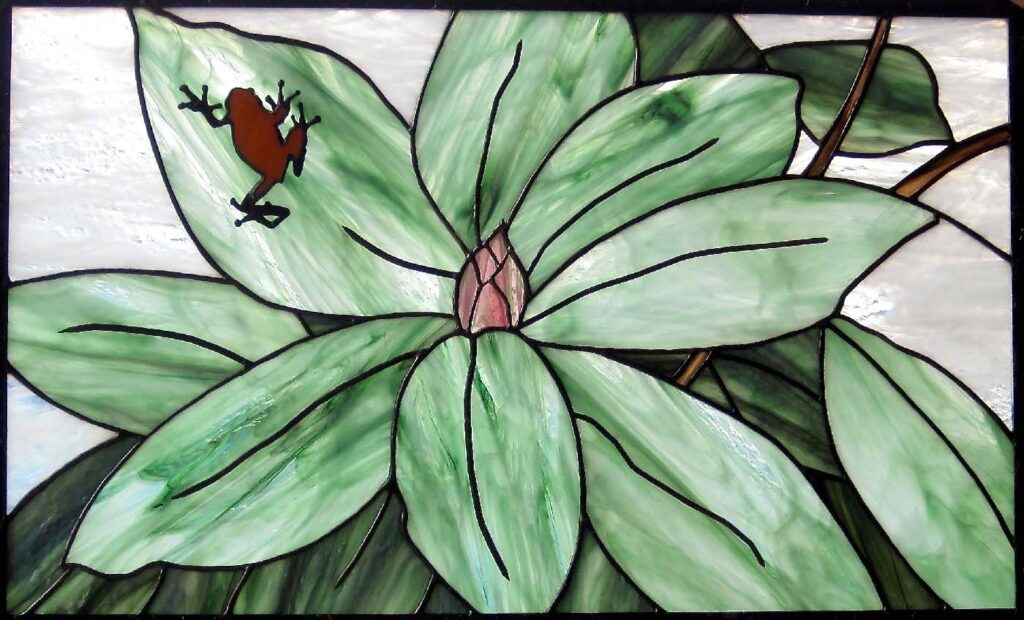 Frogodendron by Holly Stedman