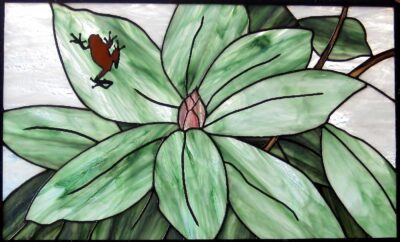 Frogodendron by Holly Stedman