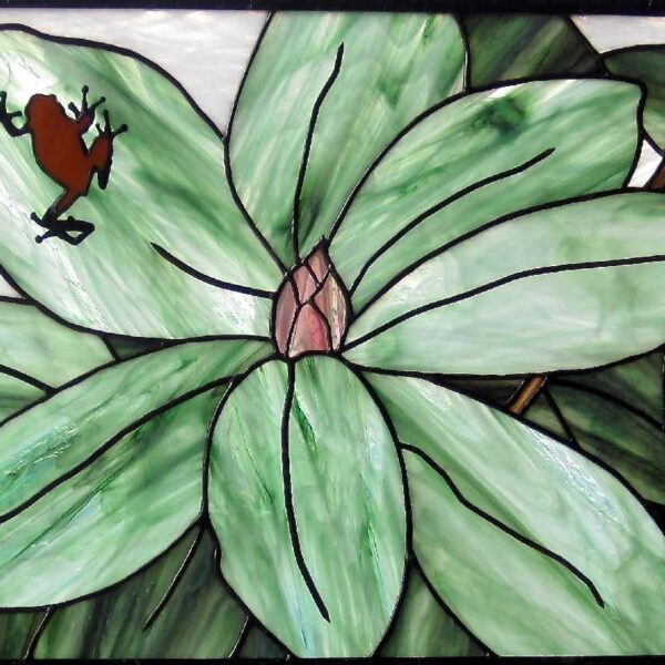Frogodendron by Holly Stedman
