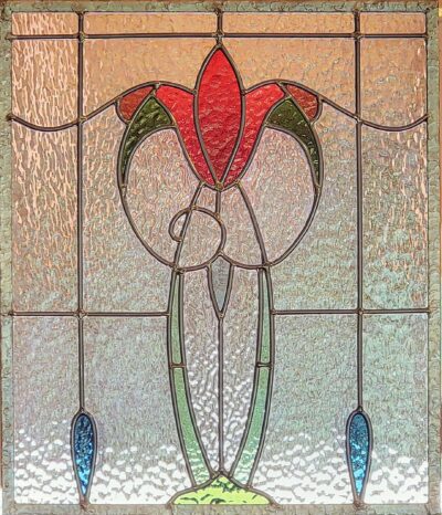 Primrose by Holly Stedman