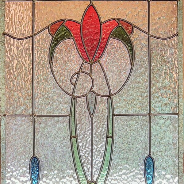Primrose by Holly Stedman
