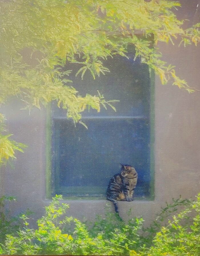 Kitty in the Window by A O Tucker