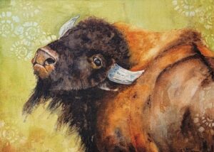 Bison Side Eye by Debra Williamson