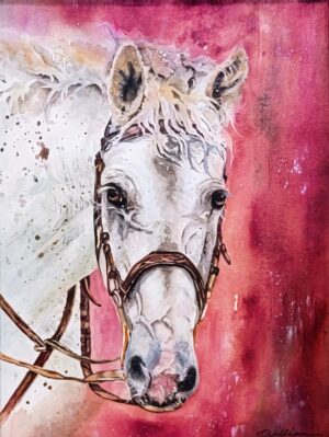 Horse Portrait Study by Debra Williamson