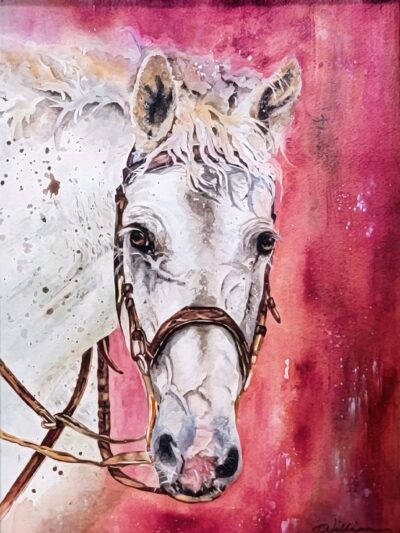 Horse Portrait Study by Debra Williamson