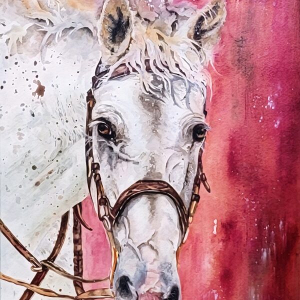 Horse Portrait Study by Debra Williamson
