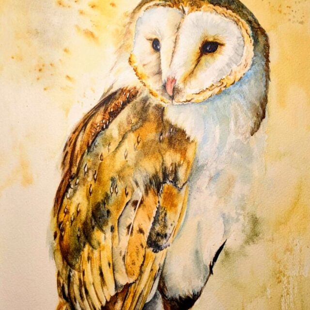 Barn Owl by Debra Williamson
